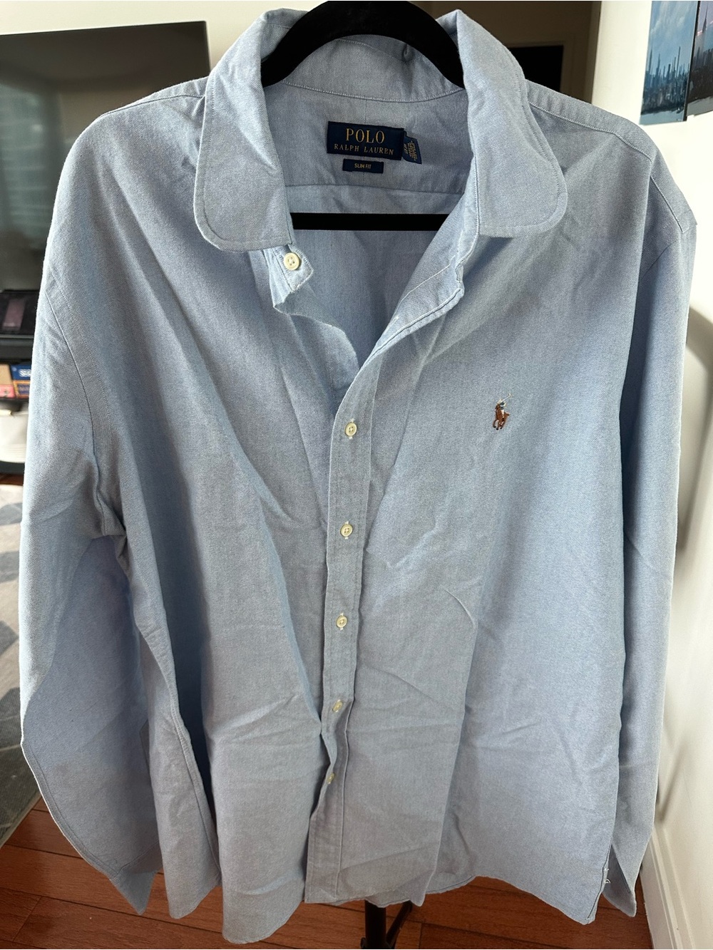 Polo by Ralph Lauren Light Blue Oxford Button-Down Shirt with Pony Logo